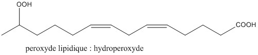 hydroperoxyde