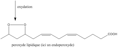 peroxyde_lipidique